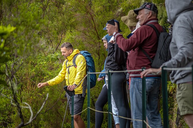 Skywalk 4x4 Experience and the Rabacal 25 Fountains Levada Walk - Rabacals Majestic Waterfalls