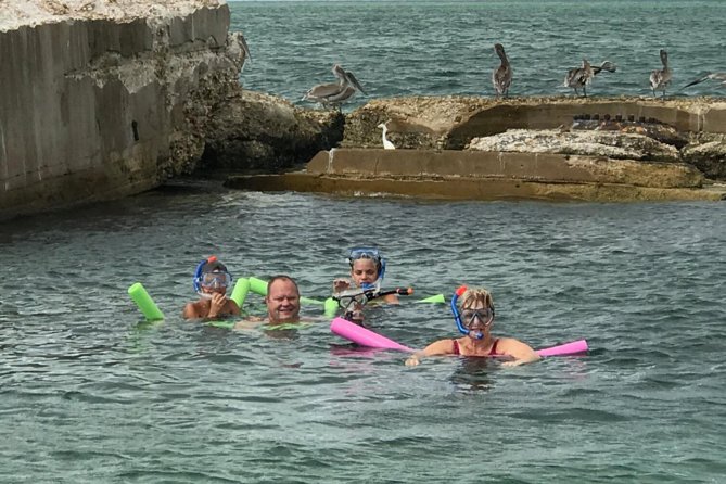 Small Group 2 Hour Dolphin Cruise With Snorkeling to Shell Key - Itinerary Highlights