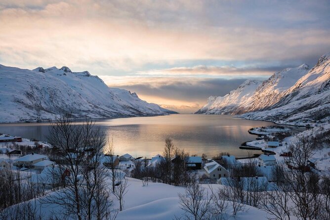 Small-Group Arctic Sightseeing Tour With Citizen Science From Tromso - Meeting and Pickup