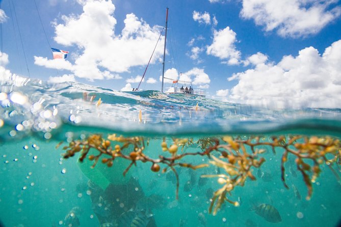 Small-Group Cruising and Snorkeling Catamaran Tour - Exciting Water Activities