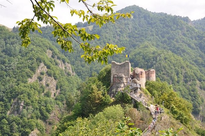 Small-Group Day Trip Transfagarasan Road and Poienari Fortress From Brasov - Highlights of the Tour
