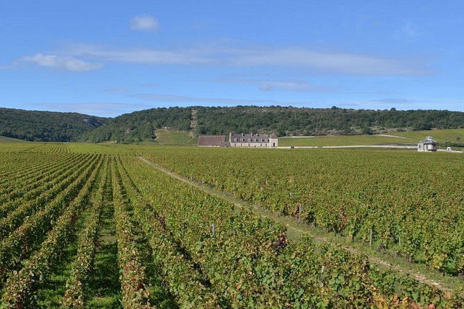 Small-Group Full-Day Tour of Côte De Nuits, Côte De Beaune Vineyards and Beaune Historical District - Scenic Drive Through Vineyards