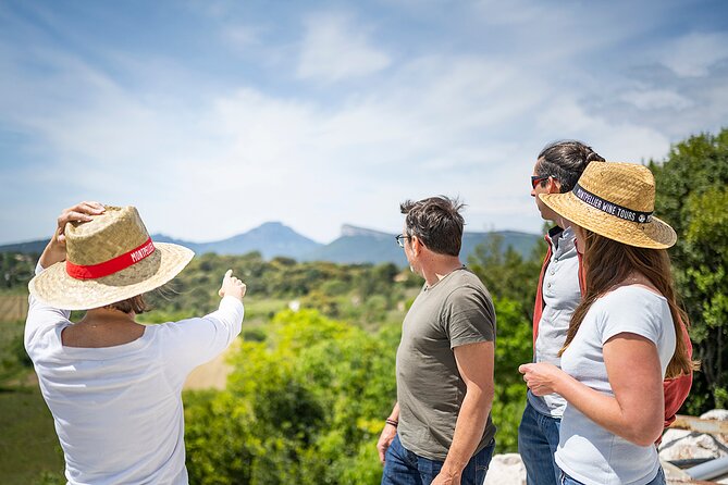 Small-Group Half-Day Languedoc Pic Saint-Loup Wine Tour From Montpellier - Pic Saint-Loup Region Exploration