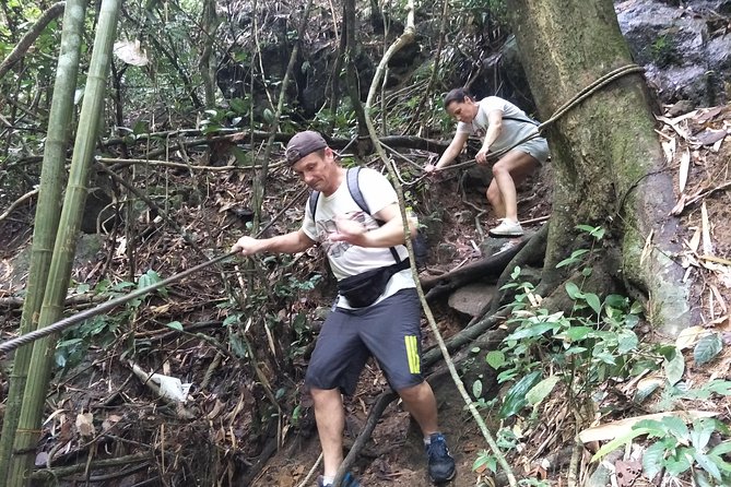 Small-Group Jungle Hiking Excursion in Khao Phra Teaw Park - Jungle Trekking Experience