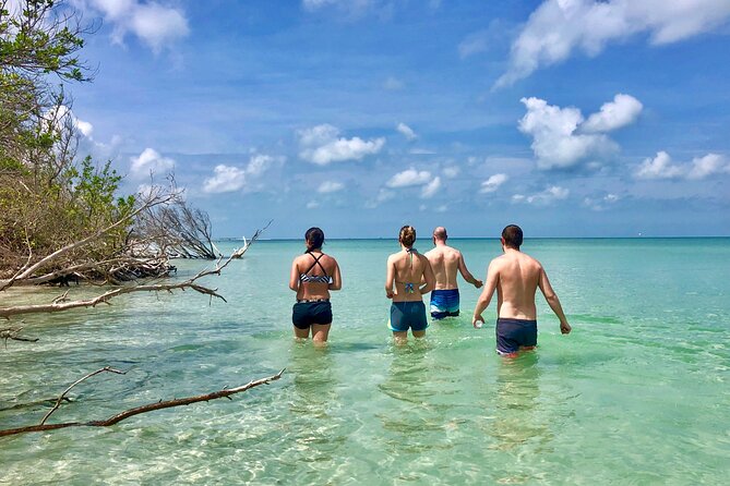 Small Group Kayak Tour of the Shell Key Preserve - Tour Details