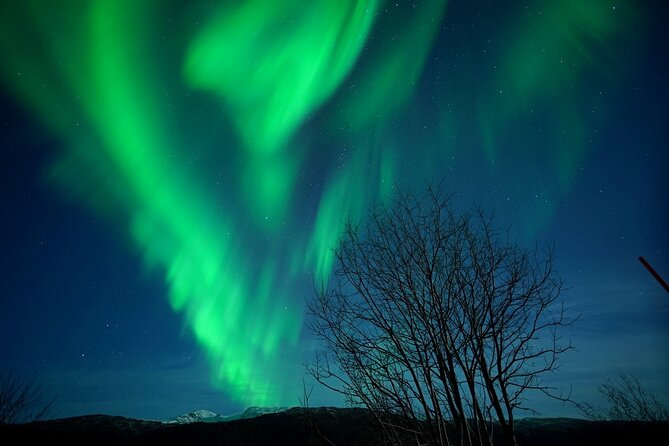 Small Group Northern Lights Chase From Tromso - Thermal Suit and Boots