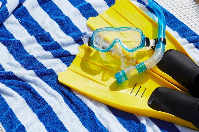 Snorkel Cat All Inclusive Adventure - 9:45 Am - Operator Information