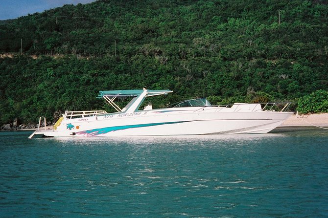 Snorkel St. John Tour From Sapphire and Margaritaville - Inclusions and Amenities