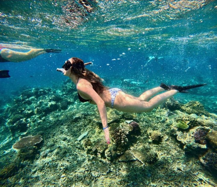 Snorkeling at Blue Lagoon, Tanjung Jepun and Waterfall - Pricing