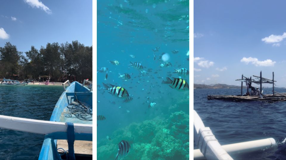 Snorkeling Boat Tour - Secret Gili Island Hopping - Pricing and Inclusions