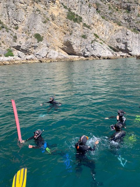 Snorkeling in Sesimbra - Expert-Guided Adventure