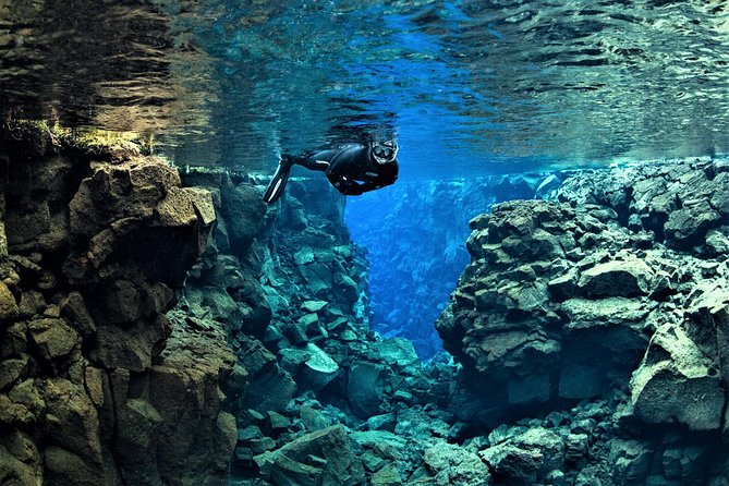 Snorkeling in Silfra From Reykjavik | Small Group + Free Photos - Flora and Fauna in Silfra