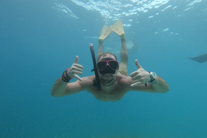 Snorkeling With Turtle and Statue in Gilis - Meeting and Pickup