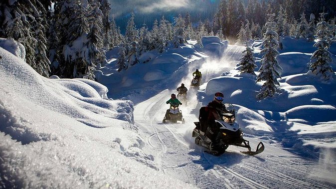 Snowmobile & Animals Day Tour - Pickup Options