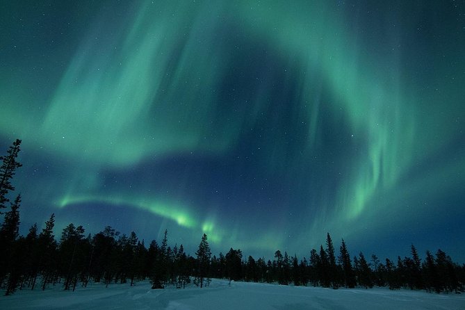 Snowmobile Aurora Expedition With Dinner - Meeting Point and Pickup