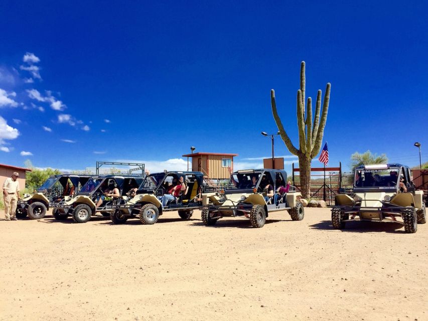 Sonoran Desert Off-Road Tours in Tomcars - Desert Highlights