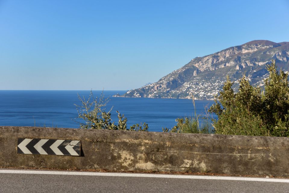 Sorrento: Transfer to Naples With Guided Tour of Pompeii - Transfer Details