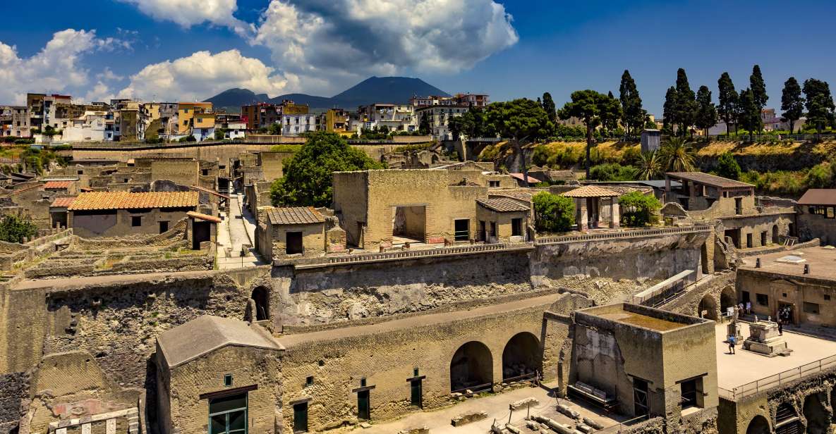 Sorrento: Transfer to Naples With Herculaneum Guided Tour - Transfer Service Details