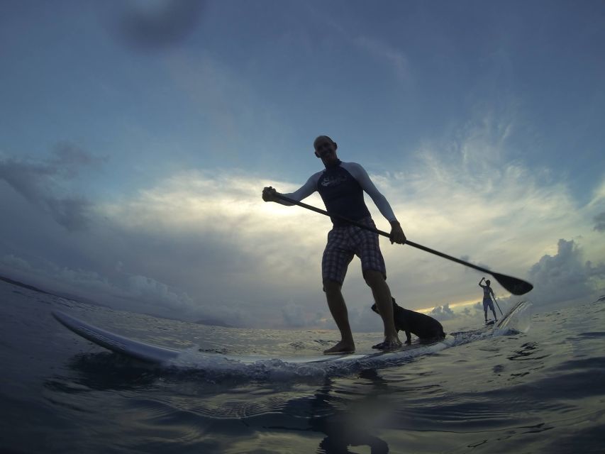 Sosua 2-Hour Stand Up Paddle Boarding - Highlights of the Experience