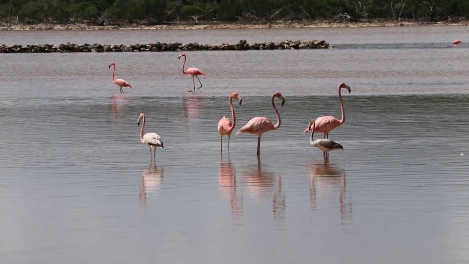 South Long Island 3 Hour Guided Land Tour - Pickup and Dropoff