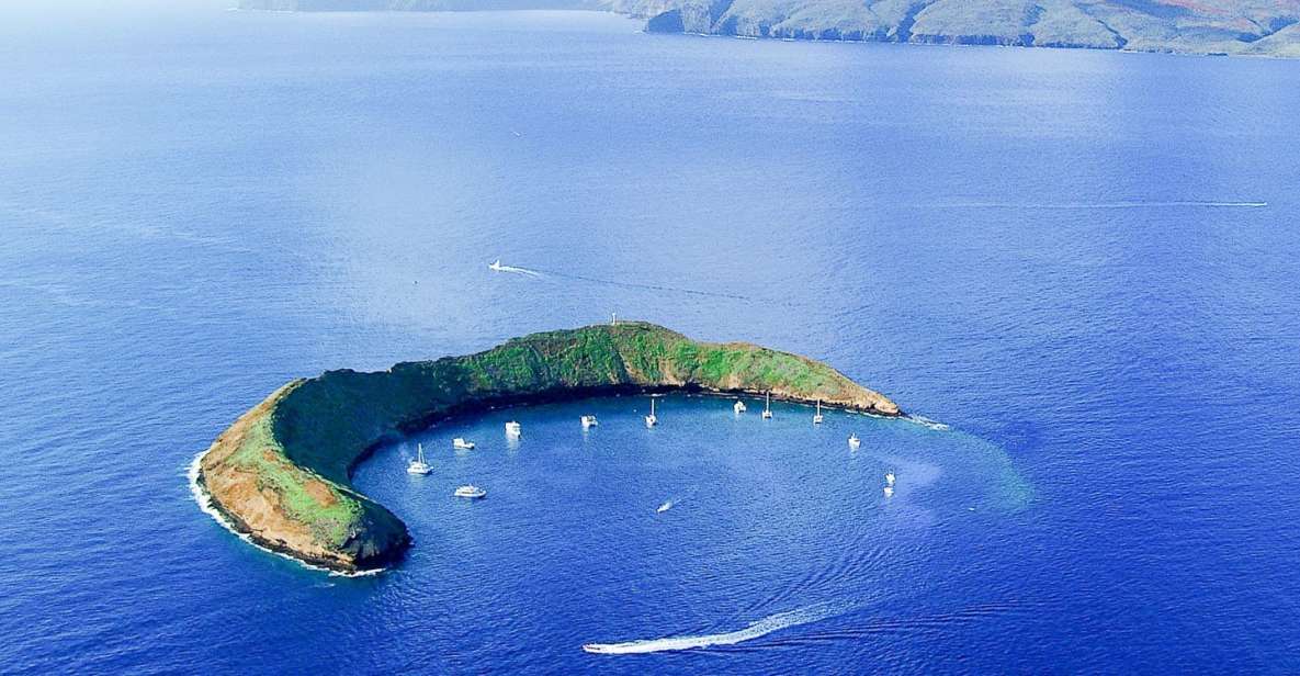 South Maui: Molokini & Turtle Town Snorkeling Tour With Meal - Activities and Highlights