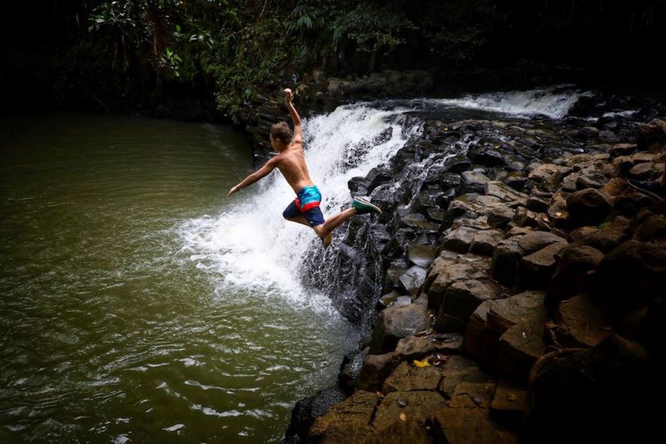 South Maui: Waterfall Tour W/ Kayak, Snorkel, and Hike - Pricing and Duration