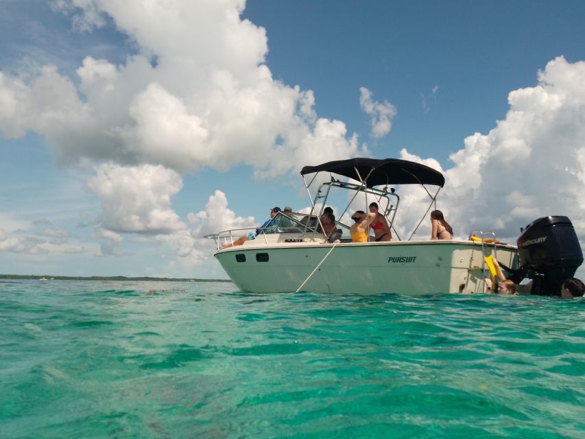 Spear-Fishing Bahamas - Exploring Delicate Marine Ecosystems