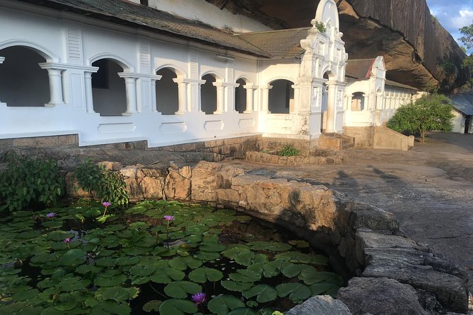 Sri Lanka Tour in 8 Days - Whale Watching Along the Coast