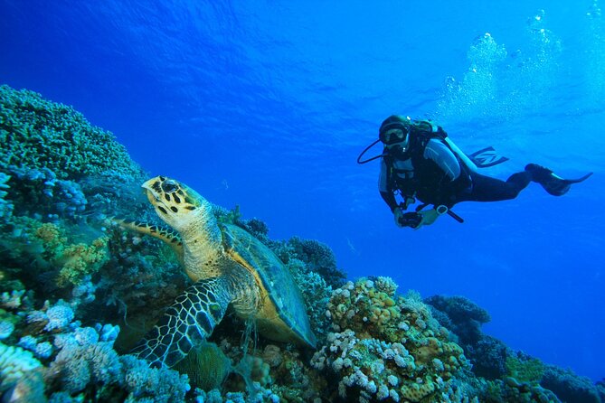 SSI | Padi Open Water Course in Phuket - Included in the Package