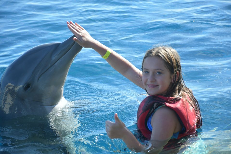 St. Augustine: Marineland Dolphin Encounter - Program Details and Duration