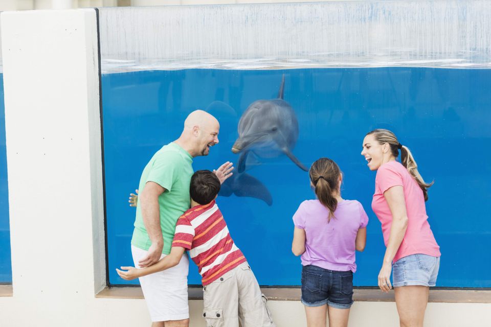 St. Augustine: Marineland Park Admission Ticket - Daily Educational Experiences