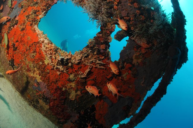 St Maarten Scuba Diving for Certified Divers - Diving Details and Requirements