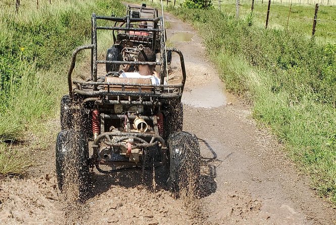 St. Marys Mud Buggy Experience - Customer Reviews