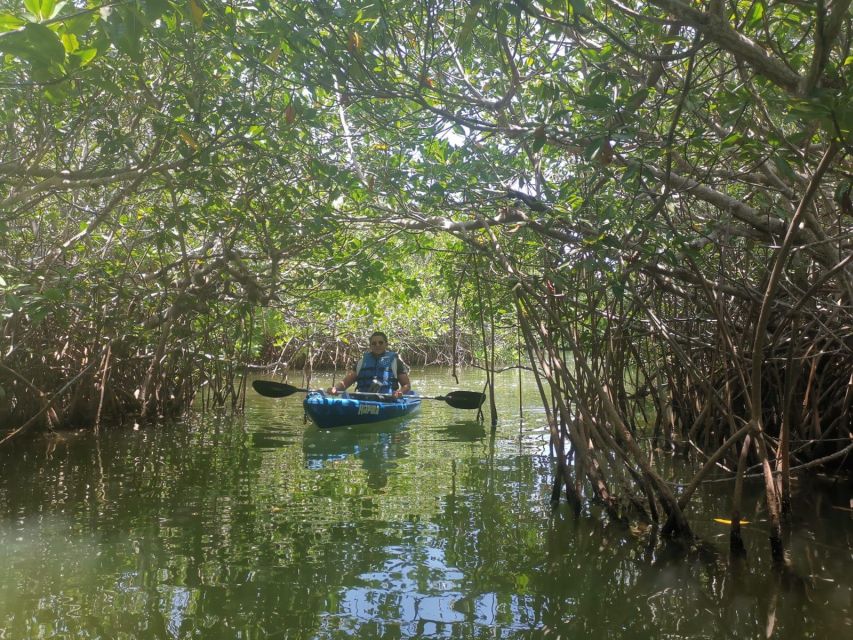 Sunrise Kayak Tour by Wayak Tour - Tour Highlights