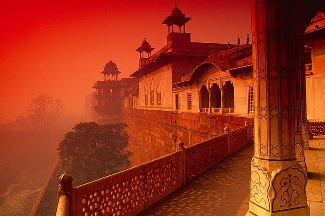 Sunrise Taj Mahal & Agra Fort Tour From Delhi - Vehicle and Tour Guide Service