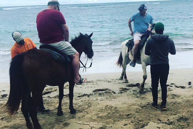 Sunset Beach Horsebackriding Punta Cana - Ratings and Feedback