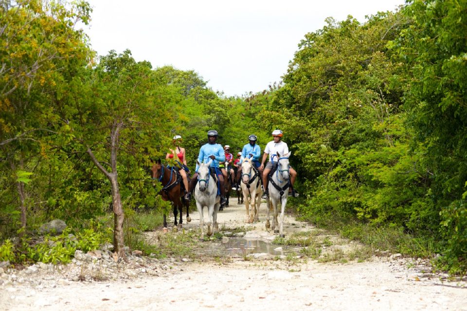 Swim Horse From Punta Cana - Guided Tour and Activities