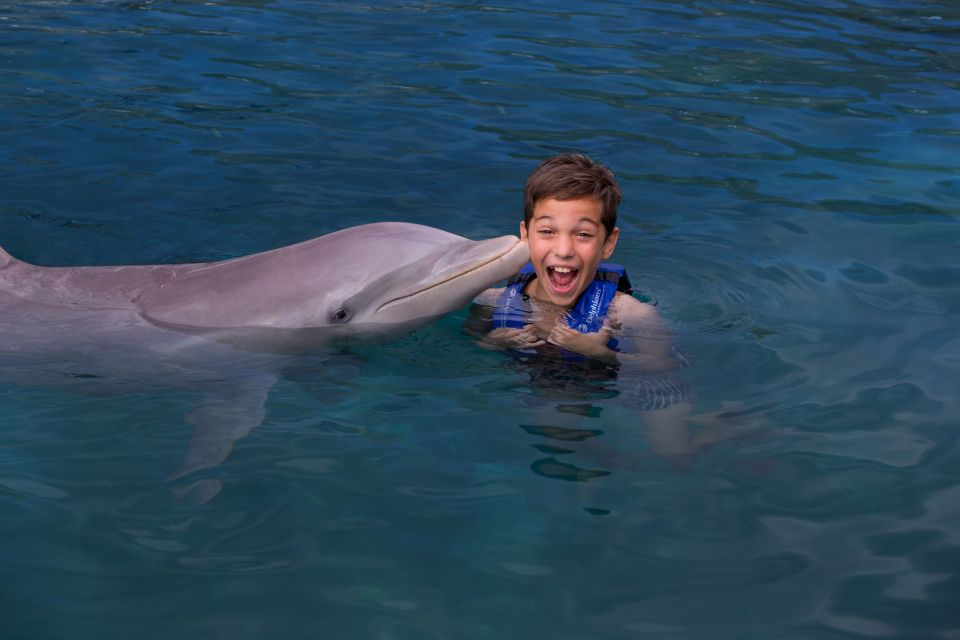 Swim With Dolphins Ride - Riviera Maya - Dolphin Interaction Activities