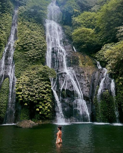 Swim With Dolphins, Ulundanu Bratan & Banyumala Waterfall - Pricing and Booking Options