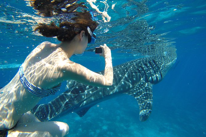 Swimming With Whale Sharks and Island-Hopping to Sumilon Island - Whats Included in the Tour