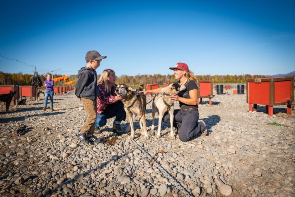 Talkeetna: Mushing Experience With Iditarod Champion Dogs - Activity Details