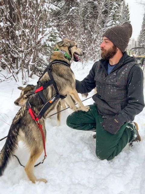 Talkeetna: Winter Dog Sled Tour Morning or Night Mush! - Pricing and Duration