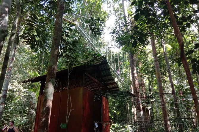 Taman Negara National Park DAY Tour (SIC - Join In Tour) - Itinerary and Activities