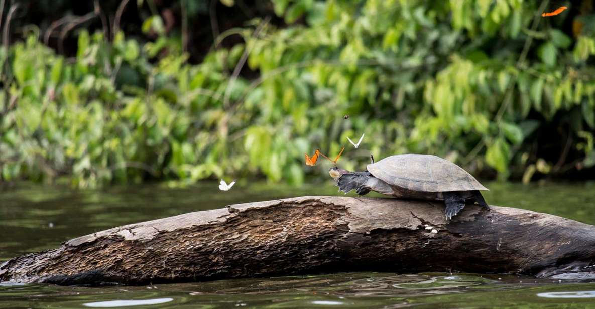 Tambopata Peruvian Amazon Jungle for Three Days/Two Nights - Detailed Itinerary