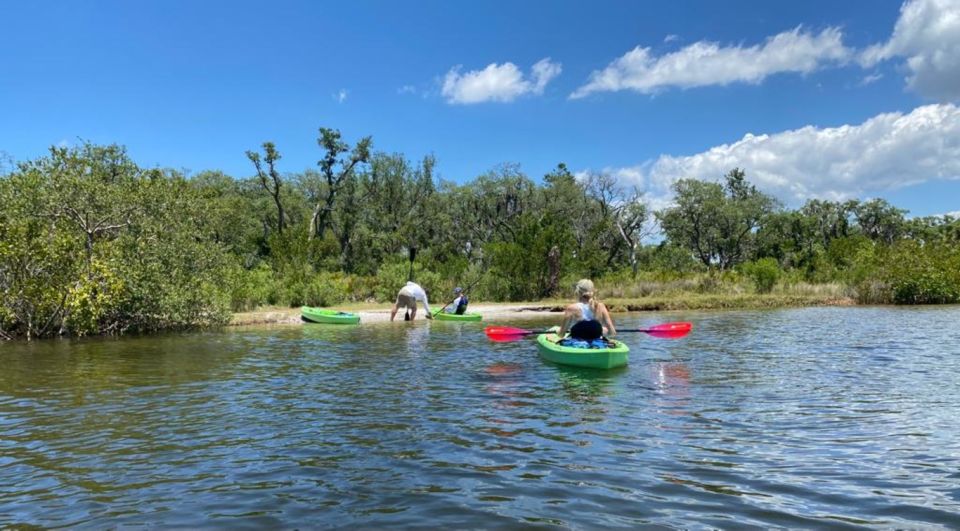 Tarpon Springs: Guided Anclote River Kayaking Tour - Exploring the Mangrove Systems