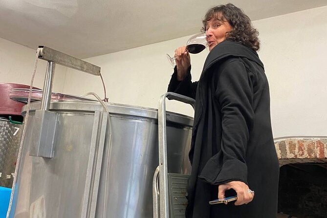 Tasting in a Tuscan Vineyard With Transfer From Lucca - Guided Tour on Tuscan Hills
