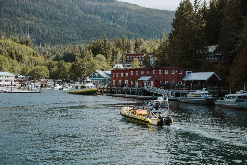 Telegraph Cove: 3-Hour Whale Watching Tour in a Zodiac Boat - Marine Life Sightings