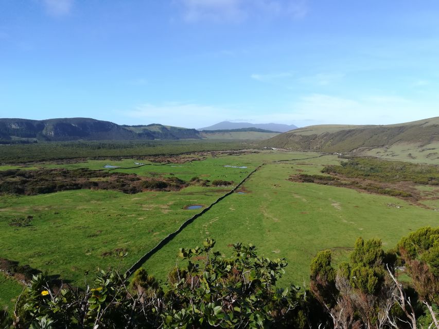 Terceira: Island Trails Scenic Hiking Tour With Transfer - Pricing and Duration Details