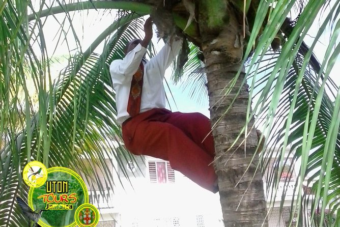 The AMAZING Montego Bay Tour - Inclusions
