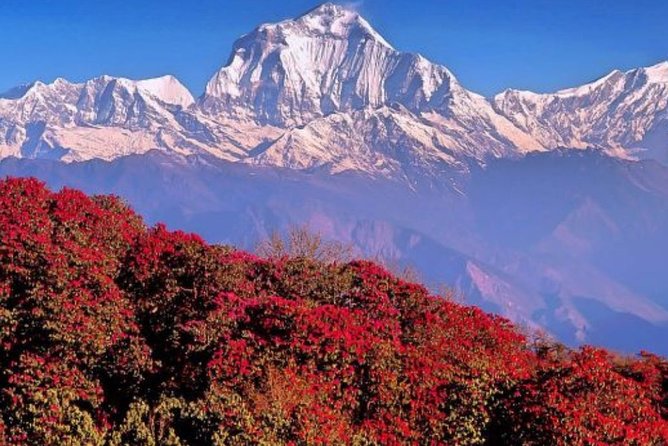 The Best of Nepal : 5-Day Trek to Ghorepani Poon Hill & Ghandruk - Detailed Itinerary